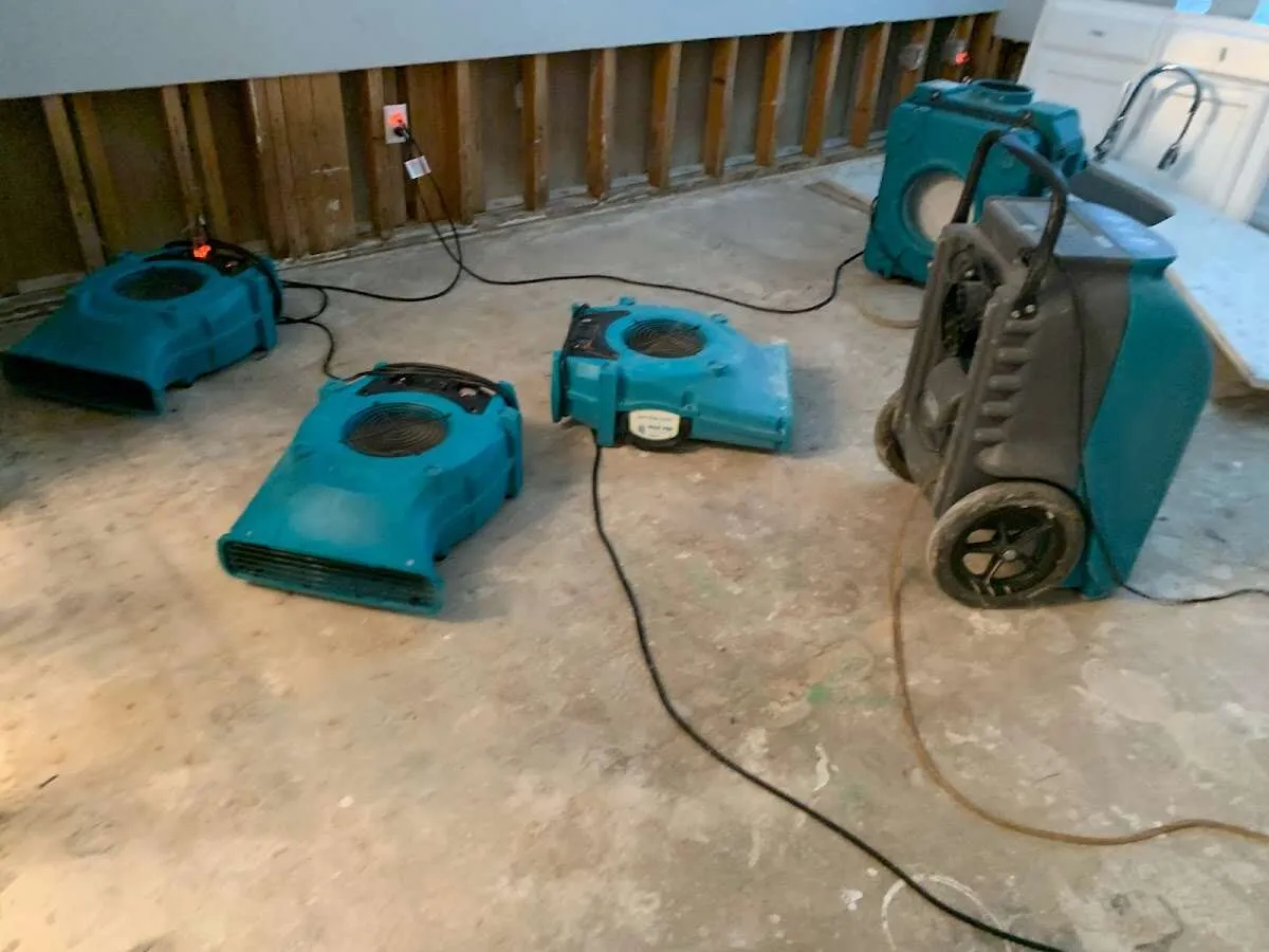 Water Damage Restoration services in Cherryland, CA